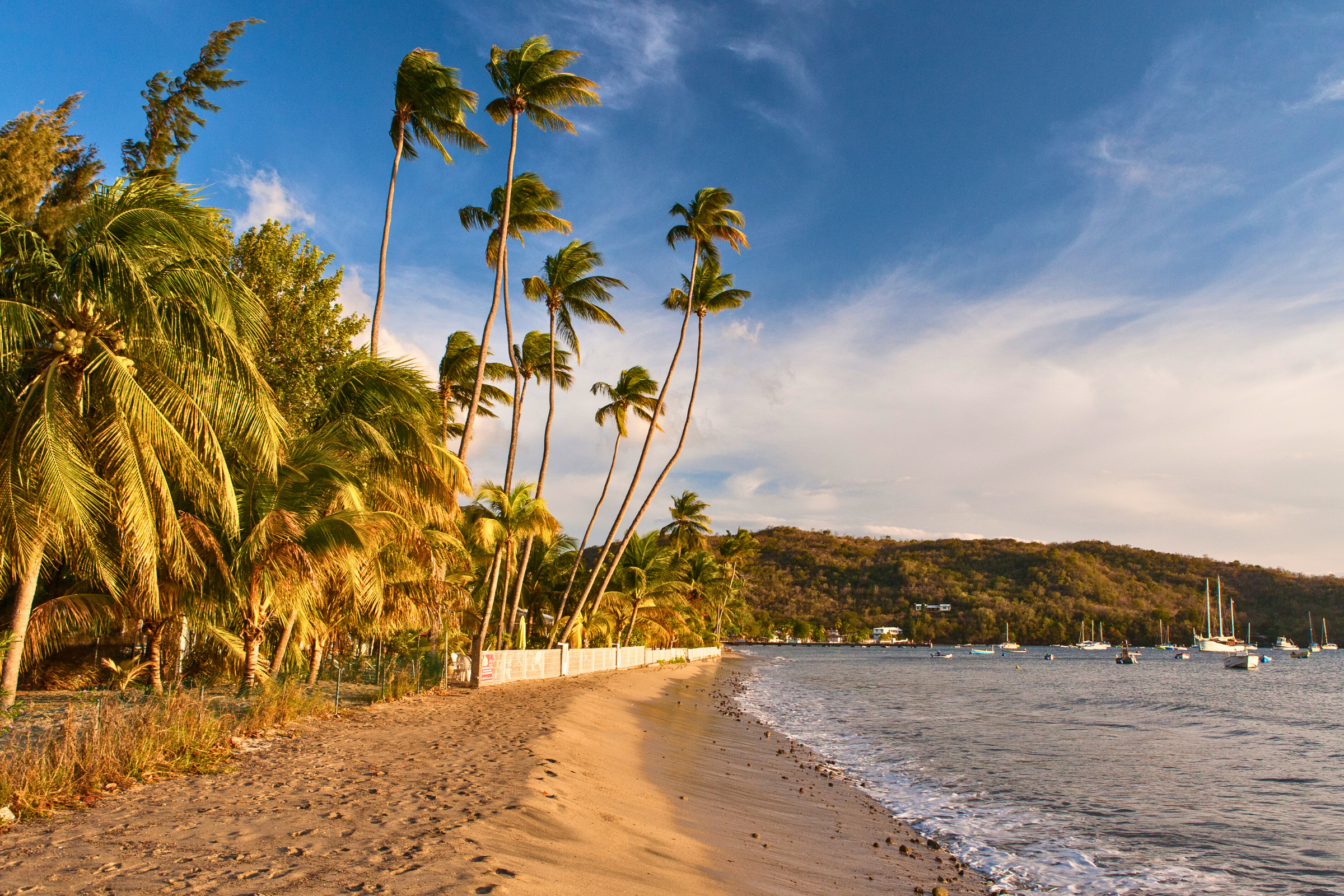 grande anse, les anses-d'arlet (4).webp
